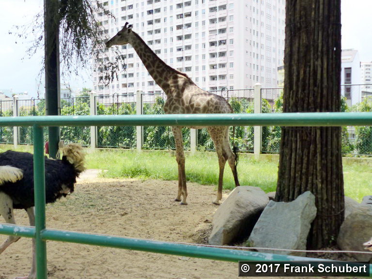 HCM-City Zoo