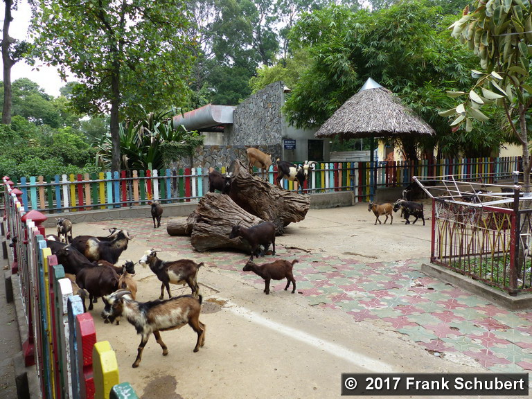 HCM-City Zoo